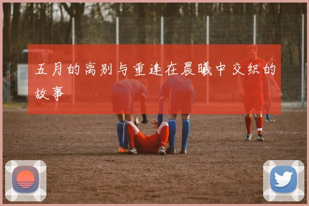 五月的离别与重逢在晨曦中交织的故事